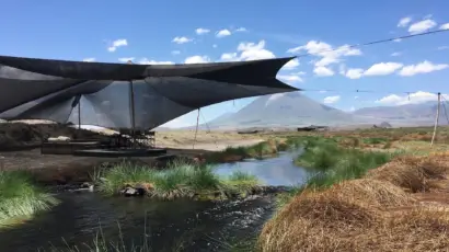 Lake Natron Camp