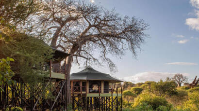 Kuro Treetops Lodge