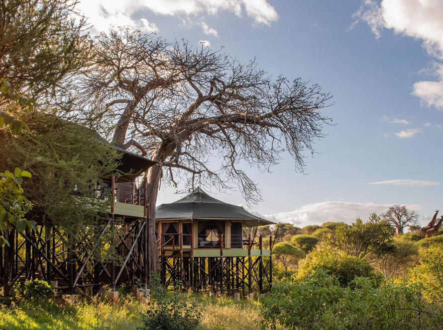 Outside view of Kuro Treetops Lodge surrounded by lush greenery