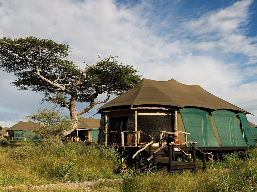 Luxury tents in a safari camp under an acacia tree with a blue sky