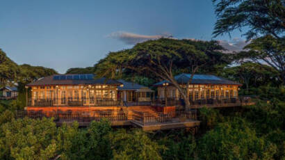 Lion’s Paws Lodge