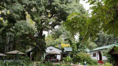Mount Meru Game Lodge