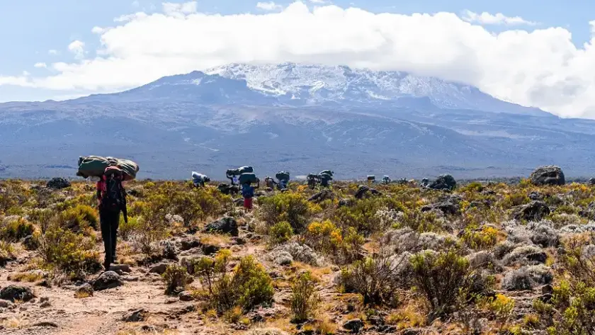 People walking through a desert landscape with Mount Kilimanjaro visible in the background.
