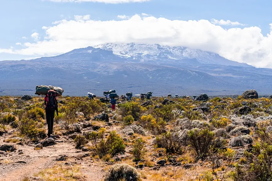People walking through a desert landscape with Mount Kilimanjaro visible in the background.
