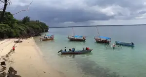 Fishermen unloading boats on a sandy beach under a cloudy sky, with lush greenery in the background