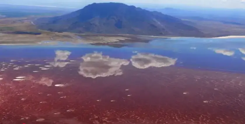 Aerial or drone view of Lake Natron