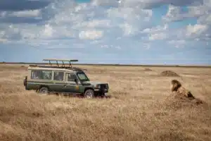 Kilidove's Tanzania Specialist Land Cruiser safari vehicle in Serengeti next to a lion