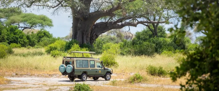 6 Days Tanzania Safari