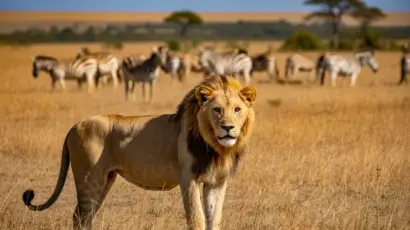 12 Days Safari in Kenya and Zanzibar