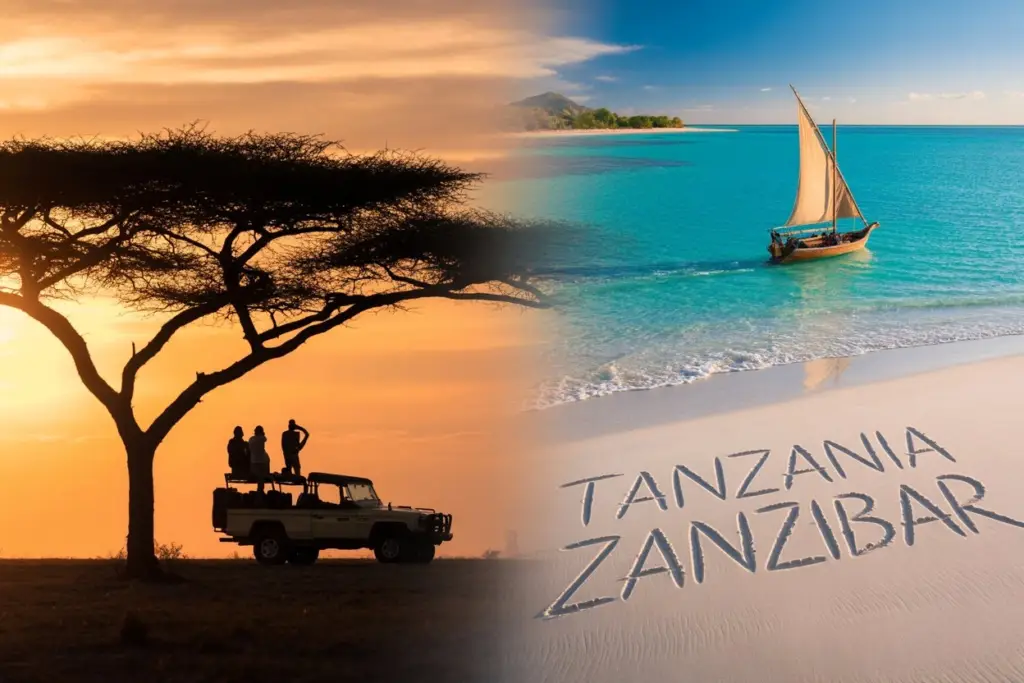 A safari guide points out wildlife in Tanzania, showcasing the experience of a 12-day safari and Zanzibar trip.