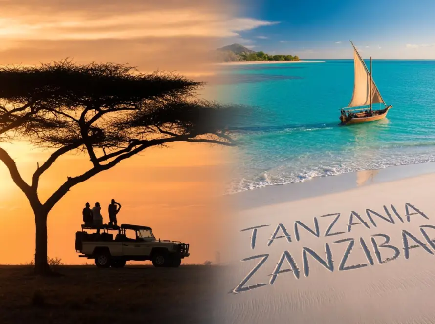 A safari guide points out wildlife in Tanzania, showcasing the experience of a 12-day safari and Zanzibar trip.