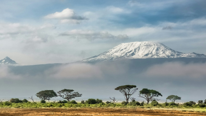 Snow-capped Uhuru Peak mountain Kilimanjaro behind savanna with acacia trees under a blue sky