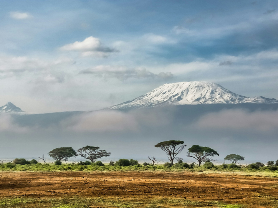 Snow-capped Uhuru Peak mountain Kilimanjaro behind savanna with acacia trees under a blue sky