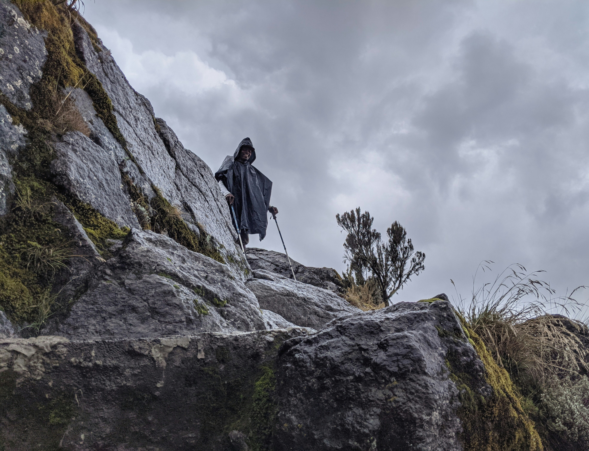 Tourist moving towards destination on Lemosho Route in Kilimanjaro