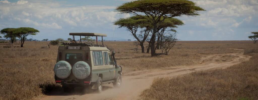 Tanzania safari destination