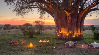 Tarangire Ndovu Tented Lodge