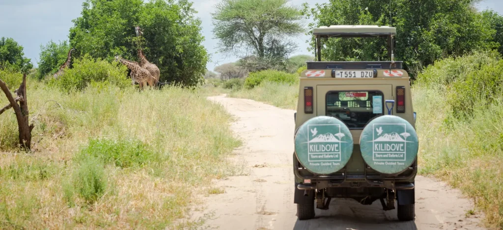 A vehicle drives down a dirt road with a giraffe in the background, showcasing a scene from a 10-day Kenya and Tanzania safari.