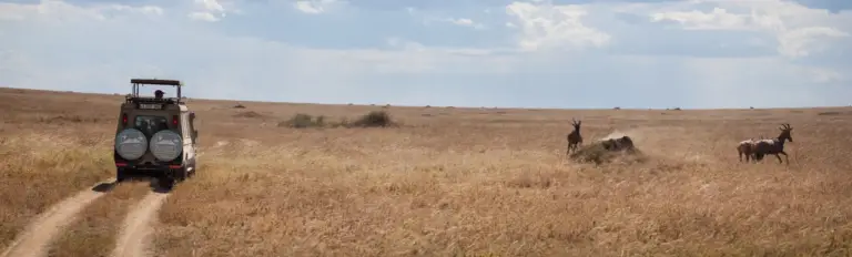4 Days Tanzania Safari