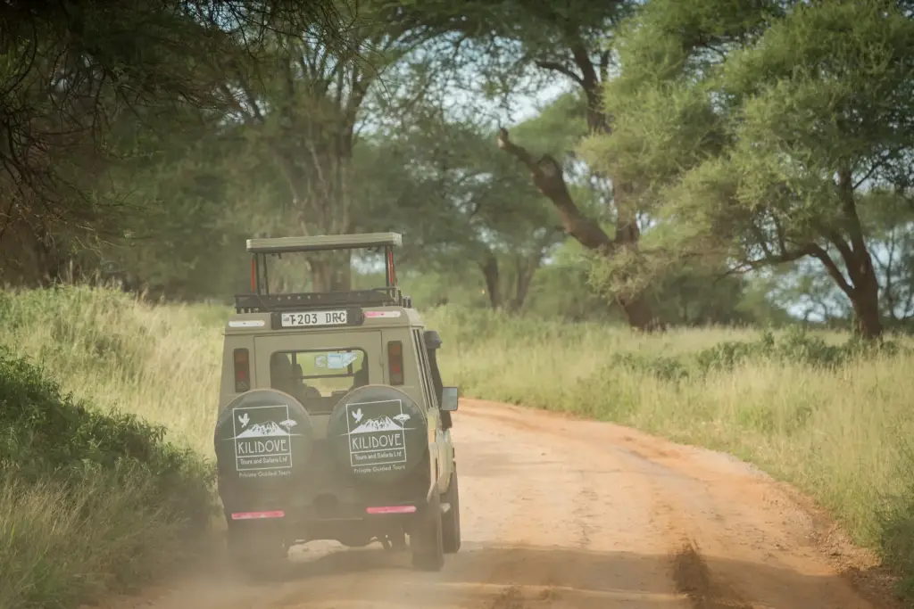 Safari Car in Tarangire National Park