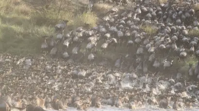 7 Days Great Migration Safari Tanzania