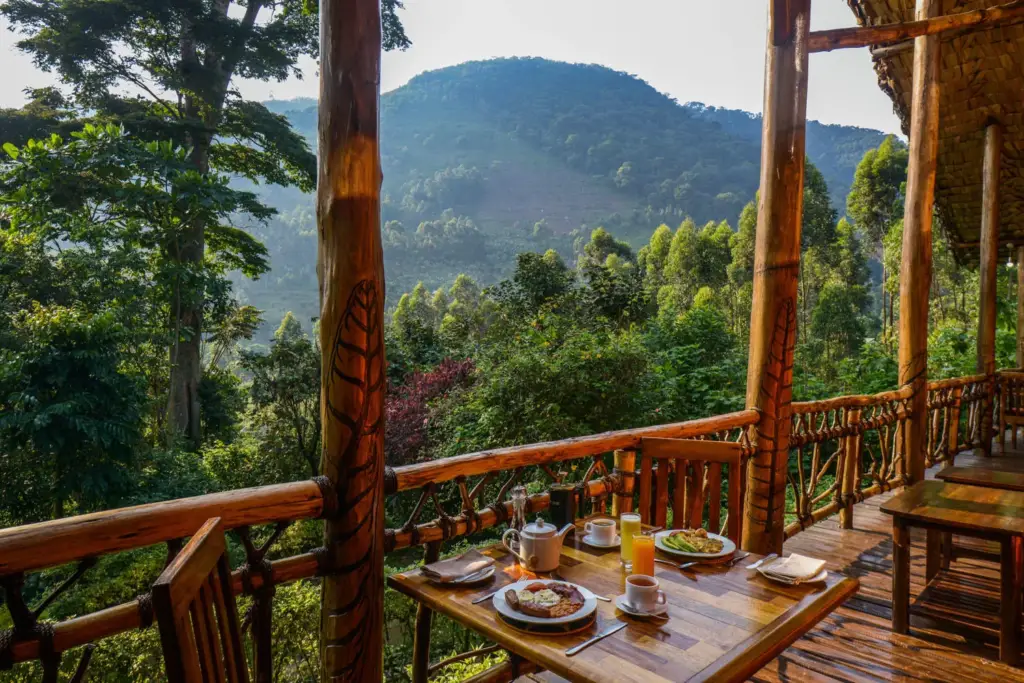 Views from Mahogany Springs in Bwindi, Uganda