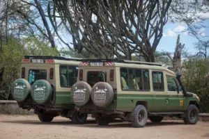 Safari vehicles in Tanzania from Kilidove Tours