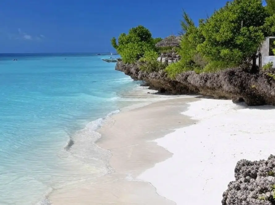 Islands in Tanzania boast serene beach scenes with clear turquoise waters, soft sandy shores, and lush greenery cascading from rocky cliffs under a vibrant blue sky.