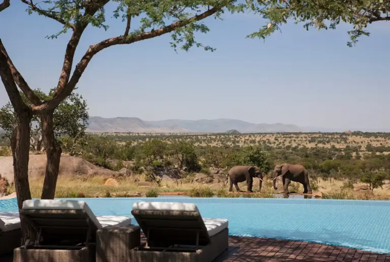 Four Season Safari Lodge - Serengeti meridionale - 4