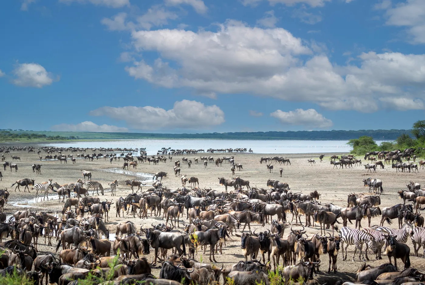 Kilidove-Tour-Safari-Tanzania-22