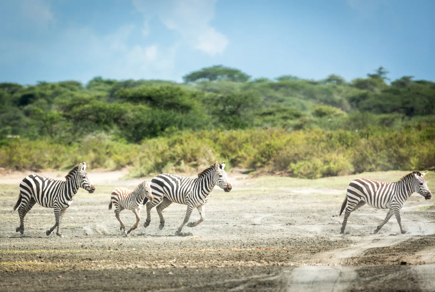 Kilidove-Tour-Safari-Tanzania-23