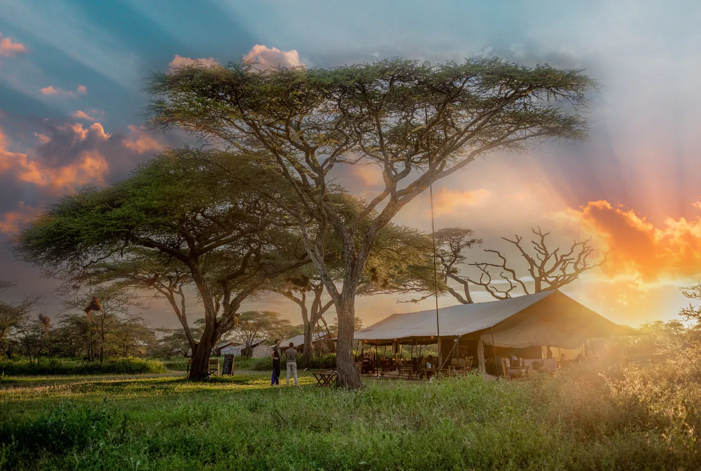 Kilidove-Tour-Safari-Tanzania-26