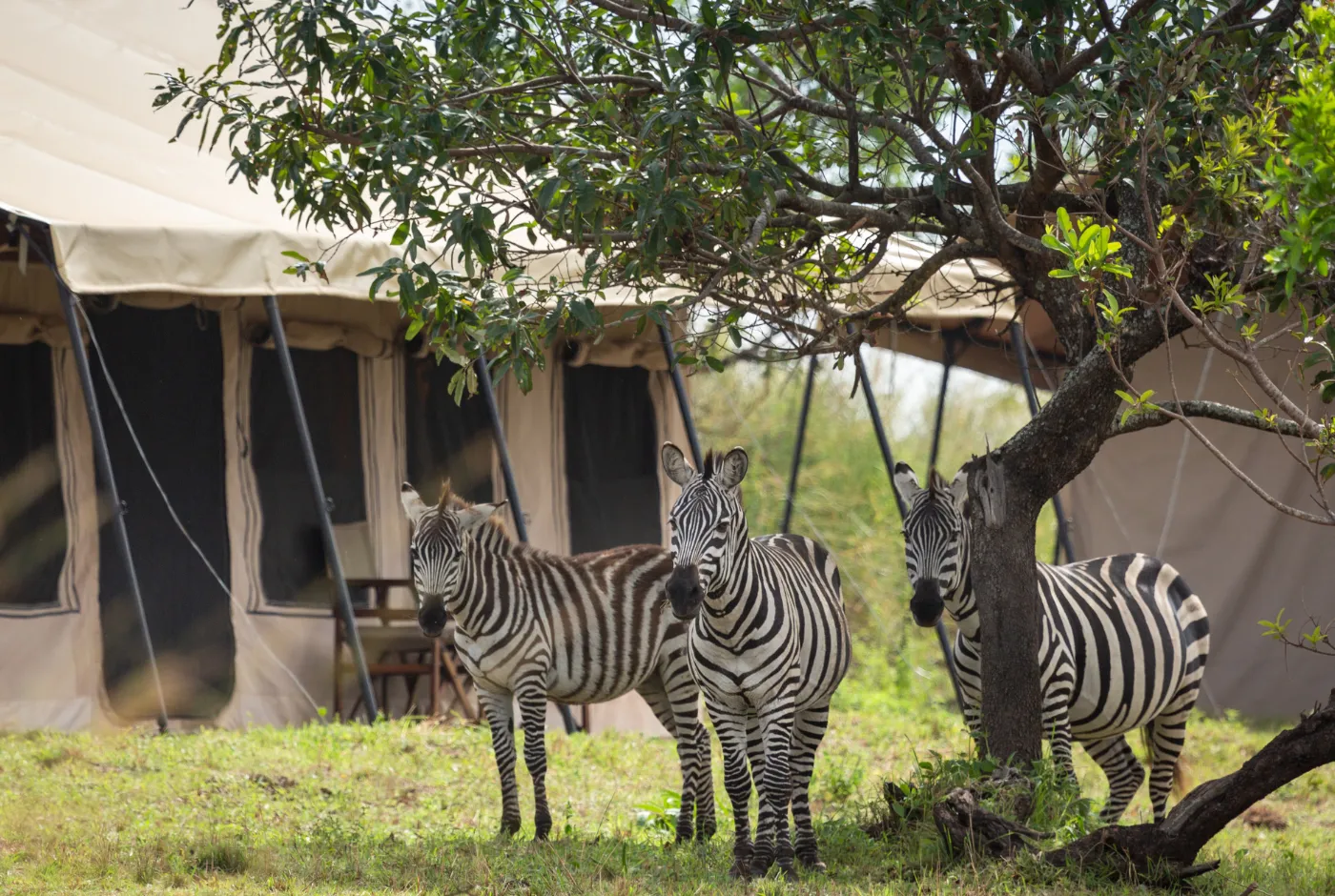 Kilidove-Tour-Safari-Tanzania-3