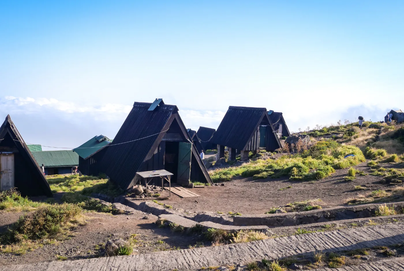 Kilidove-Tour-Safari-Tanzania-31