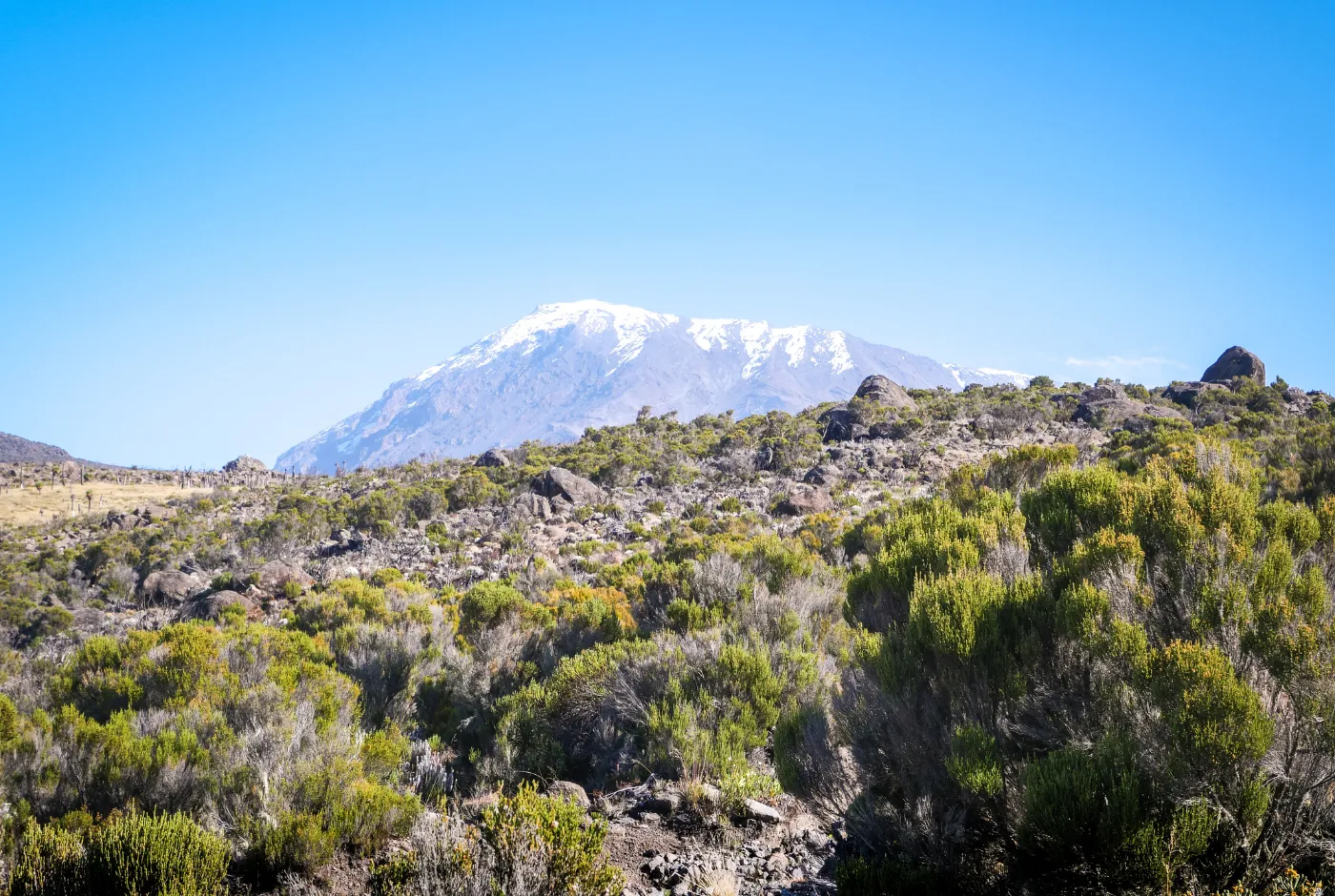 Kilidove-Tour-Safari-Tanzania-34
