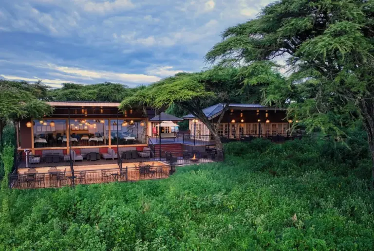 Lion’s Paw Lodge - Ngorongoro -1