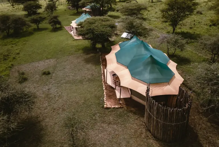 Singing Grass Camp - Serengeti centrale - 1