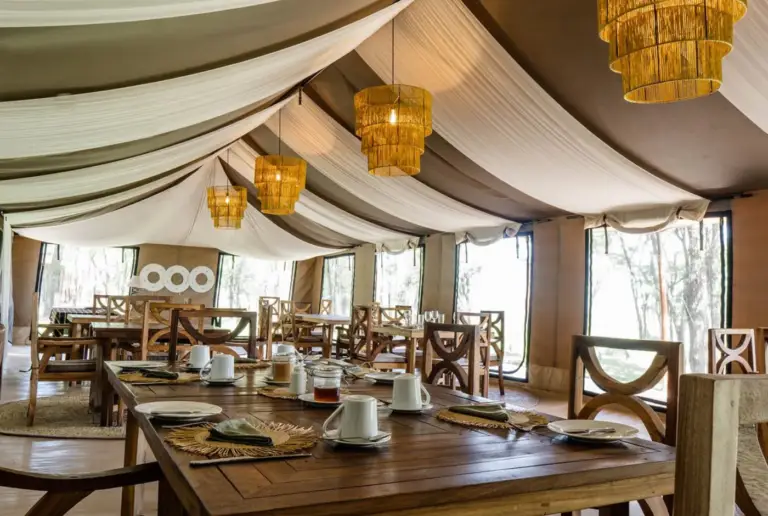 Singing Grass Camp - Serengeti centrale - 5