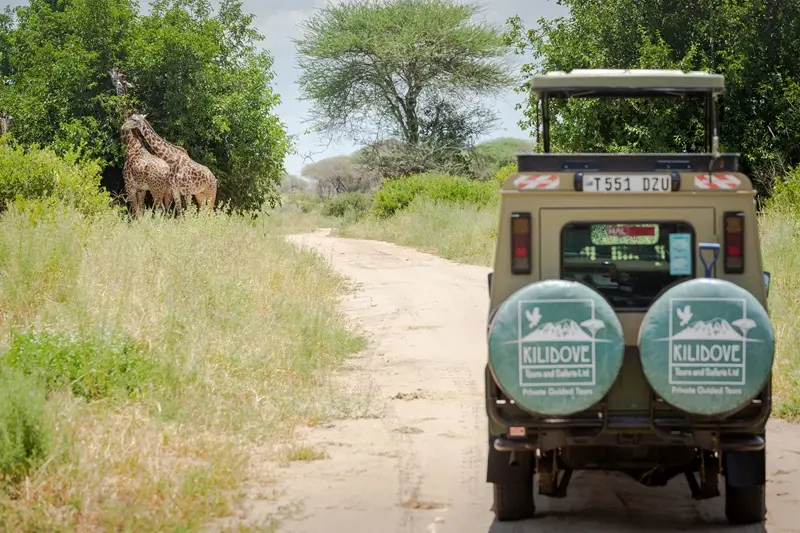 Un veicolo 4x4 di Kilidove Tours su una strada sterrata in Tanzania, Tarangire, con giraffe che pascolano sullo sfondo durante un'avventura safari.