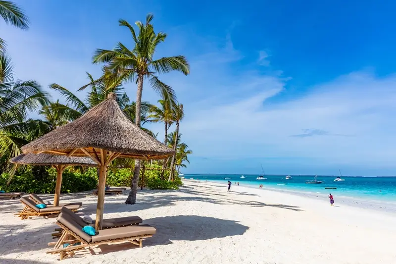 Tanzania safari and Zanzibar holiday — palm-lined beach beside the turquoise Indian Ocean