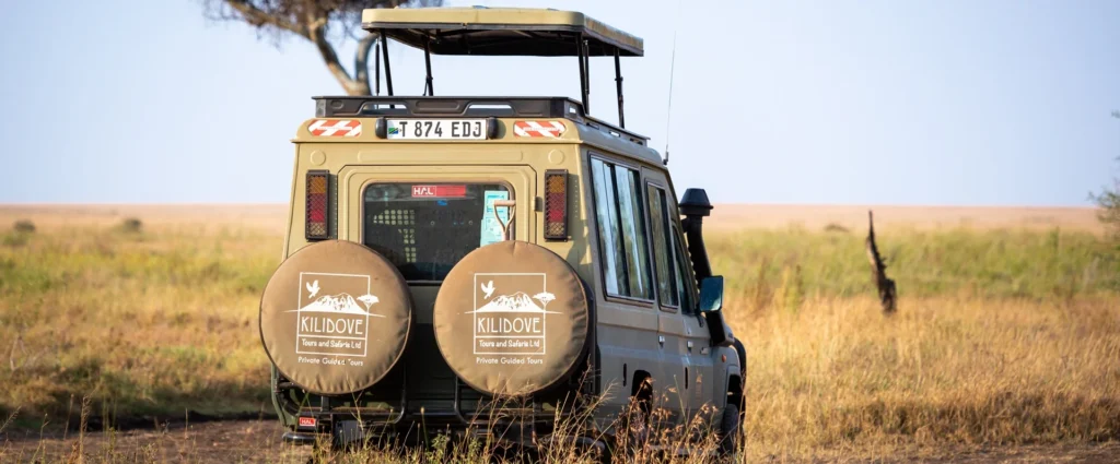 Safari vehicle standing in golden grassland