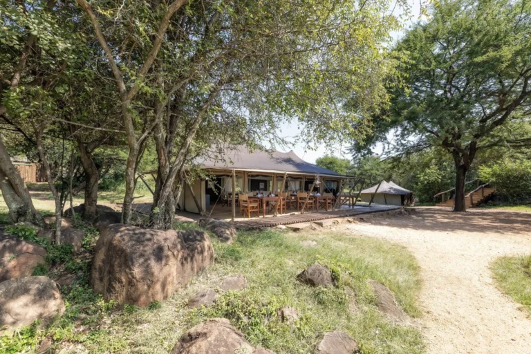 Serengeti Pioneer Camp