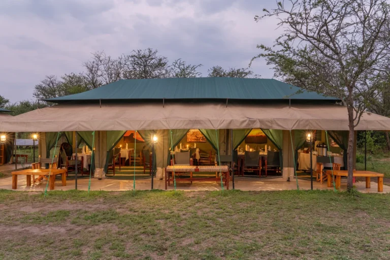 Nasikia Mobile Migration Camp, Kogatende