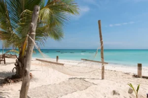 Hammock strung between palm trees on a white sand beach in Zanzibar