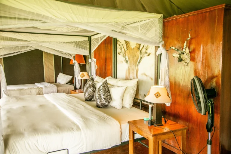 Serengeti Sound of Silence Tented Camp