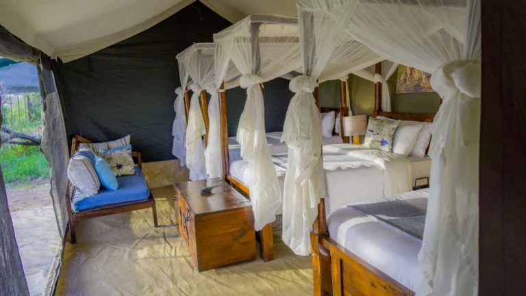 Ang’ata Migration Ndutu Camp