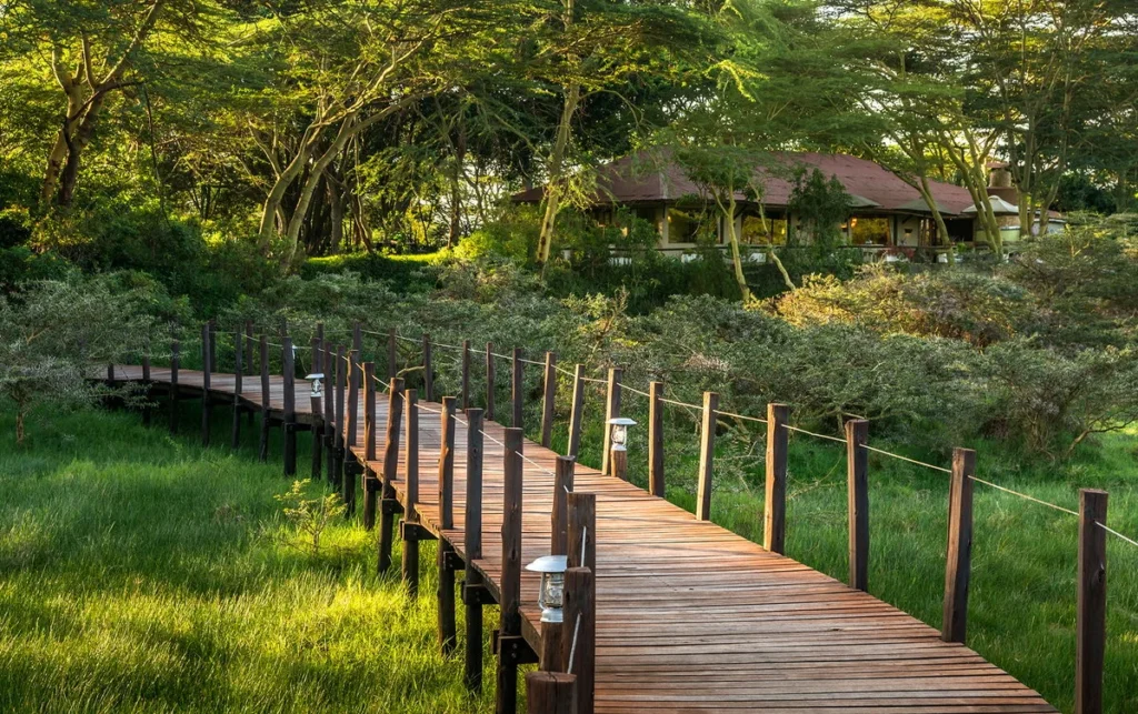 Hatari Lodge Walk Way - Hatari Lodge