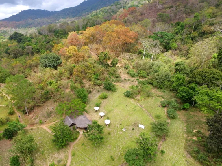 Hondo Hondo Udzungwa Forest Tented Camp