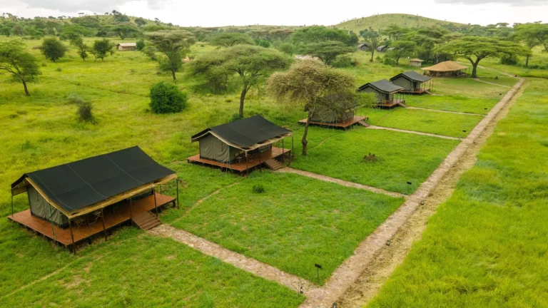 Kenzan Central Camp