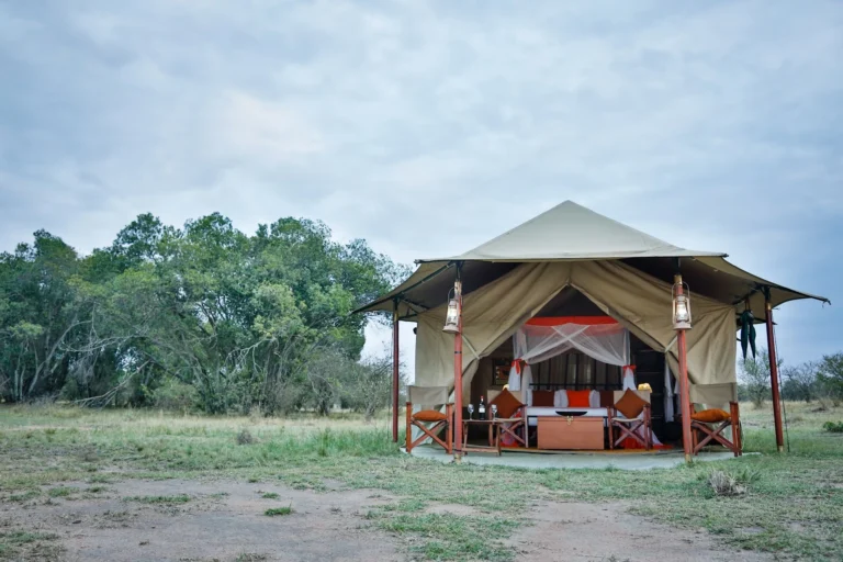 Kenzan Tented Camp Ndutu