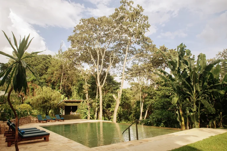 Kilimanjaro Coffee Lodge